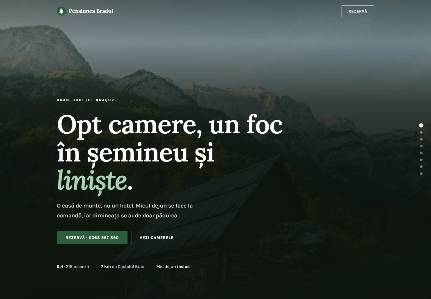 Prima pagină a demo-ului Pensiunea Bradul, un site pentru pensiune